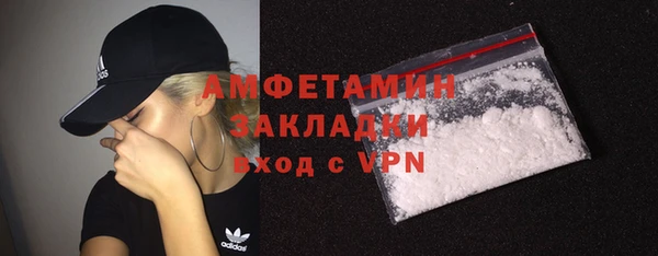 прущие грибы Ачинск