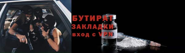 прущие грибы Ачинск