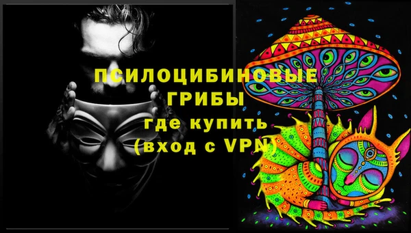 СК Липки