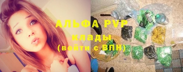 СК Липки