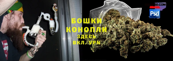 СК Липки
